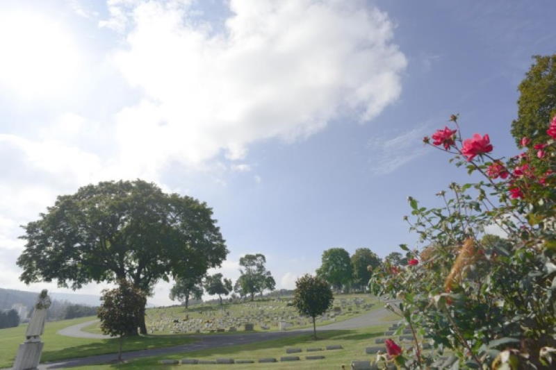 mantle-memorial-7